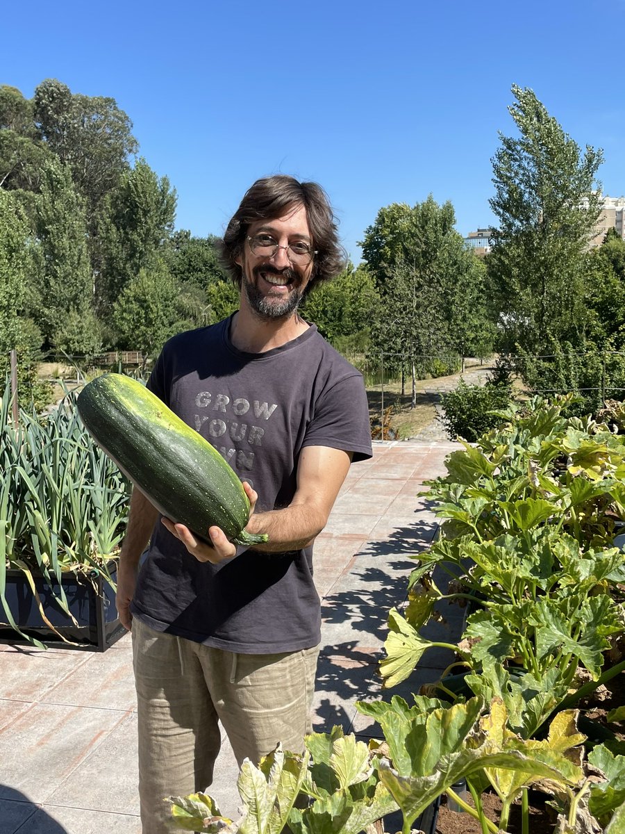 Thanks to Pedro Rocha for showing me around <a href="/Noocity_Co/">Noocity</a>’s rooftop farm today! Watch the tour on my IGTV 📺: 
instagram.com/tv/CRWPsyTjUrT…
🍅🥒🌱
#urbanfarm #portugal #rooftopfarming #localfood