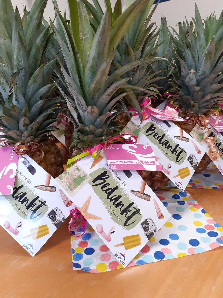 StPresentEde's tweet photo. Groepenbegeleiders, klusvrijwilligers, bestuursleden en kantoorvrijwilligers. Deze week bedanken we al deze vrijwilligers van Present Ede met een kaartje, en een zomerse traktatie.  #bedankt #vrijwilligers https://t.co/UWHO102iUU