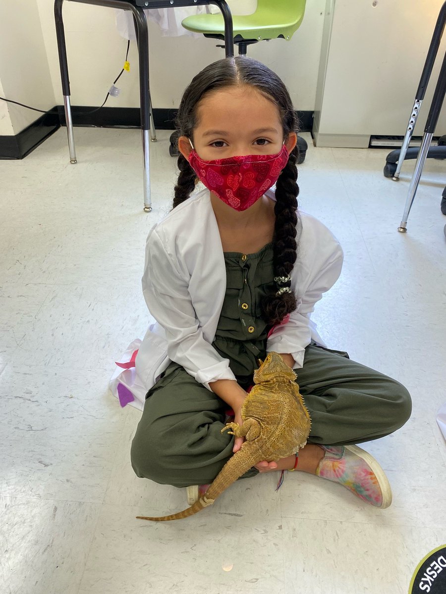 LabSchoolDC's tweet image. Pollinator gardens, bearded dragons, and fun with numbers. #LabSummer