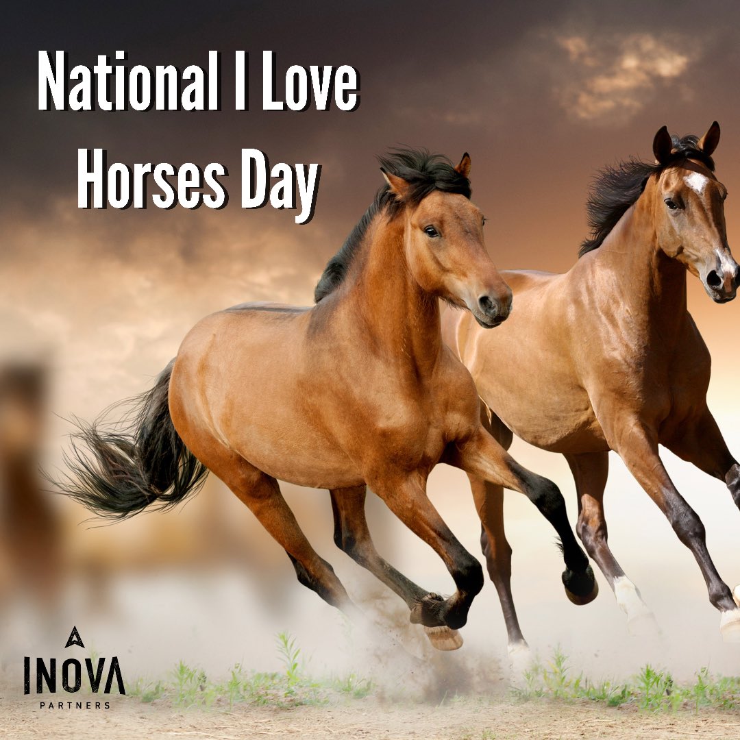 InovaPartners's tweet image. National I Love Horses Day #nationalilovehorsesday #veterinarymedicine #veterinary #veterinarian #Horses #equine
