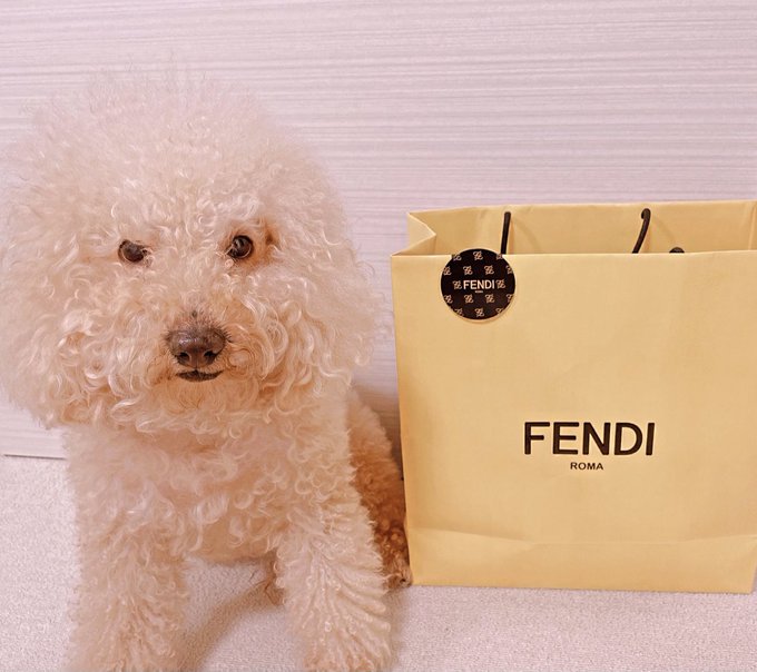 今日は愛するハニーがお祝いしてくれました&hearts;︎お肉のケーキ🤤ぐへへ そして、プレゼントありがとう🥺❤️大事に大切な時に使うね😍 ご飯も美味しかったしプレゼントも最高だし、何より杏梨に会えて最高&hearts;︎ 本当ありがとう❤️