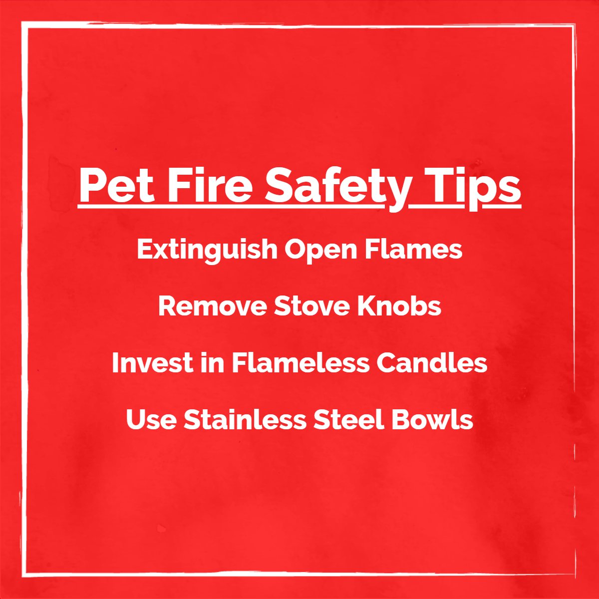 RickHamiltonMBA's tweet image. Did you know that each year approximately 1,000 home fires are started by pets? That's why, in honor of National Pet Fire Safety Day, we're sharing tips from The American Kennel Club on how to prevent your pets from accidentally starting a home fire. Link on our Facebook page.