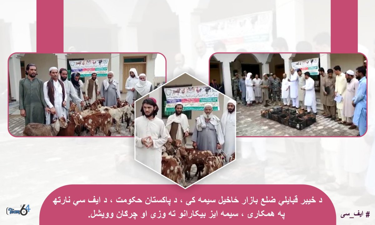 jalalsherazi's tweet image. Development and prosperity of the tribal areas. In Bazar Zakhakhel area of ​​Khyber District, the provincial government, in collaboration with #FrontierCore, distributed chickens and goats to the poor and unemployed.