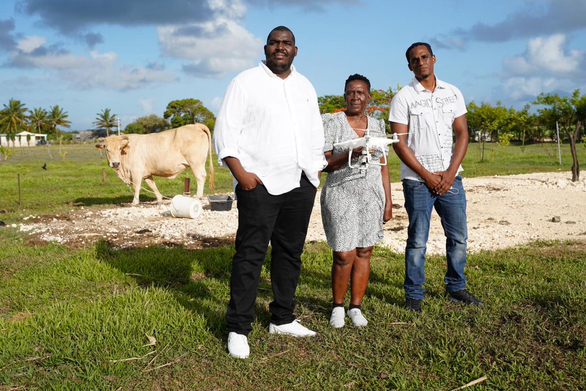 Prefet971's tweet photo. #VisiteOfficielle #Guadeloupe 🐂📡 le secrétaire d'État visite la ferme connectée #MorneàlEau qui peut avec la plateforme #MYDITEK
👉prédire les maladies
👉étudier leur prolifération
👉détecter les anomalies de comportements
👉analyser les constantes des exploitations... https://t.co/58lpmOxINd