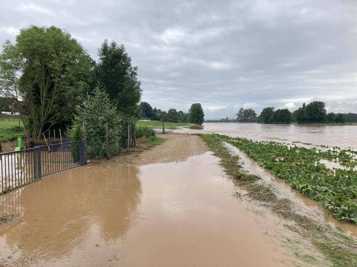 AusDerkum's tweet photo. Das ist die Erft. Nebenfluß des Rheins. Komme von da. Mein Bruder hat mir das Bild geschickt. Rechts sieht man die Reste unserer diesjährigen Zuckerrüben. Meine Eltern (78 u. 83 Jahre) sind seit heute Morgen ohne Strom. Ihr Pflegedienst kommt nicht mehr über die Brücken. (1/2) https://t.co/P7ysm60PB8