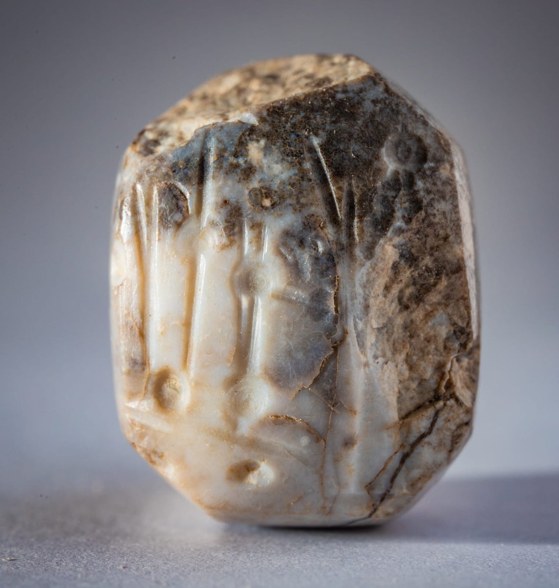 StandWithUs's tweet photo. Wow! Several ancient jars and seals have been discovered next to the ruins of a Jerusalem city wall at the @cityofdavid, which was destroyed by the Babylonians on Tisha B'Av, 586 BCE. 

Credit: Koby Harati/City of David https://t.co/Zuak19OHR7