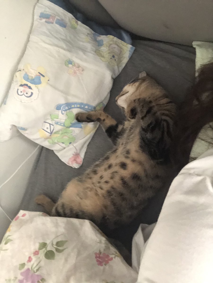 dana kedy kontrüüül