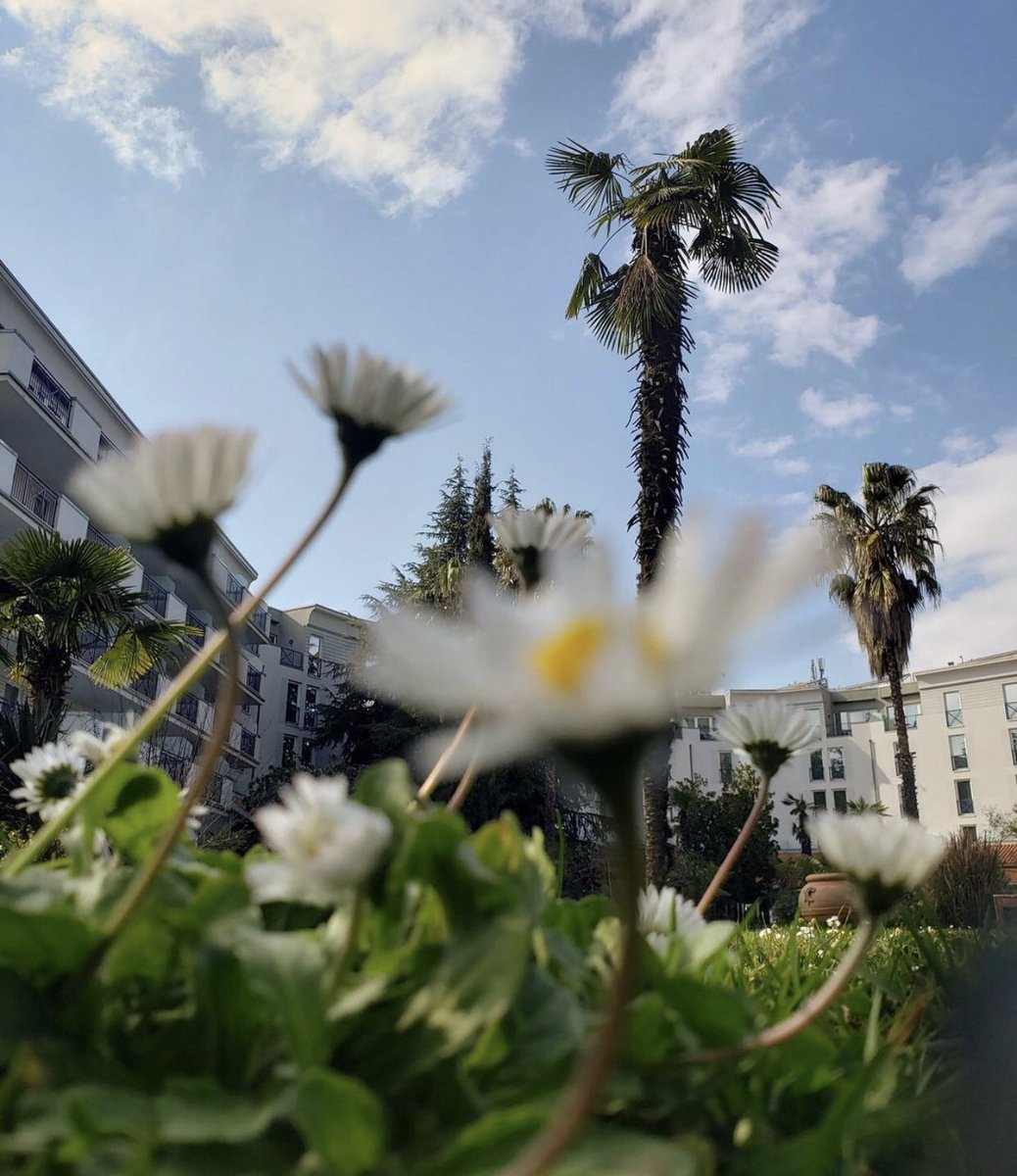 At #rognerhotel we take serious actions to minimize the impact on environment. It is in the core of ROGNER philosophy living in harmony with nature. Rogner offers 25.000 sqm2 of green areas with diverse vegetation, integrating sustainability efforts.⬇️MORE
hotel-europapark.com/overview/green…