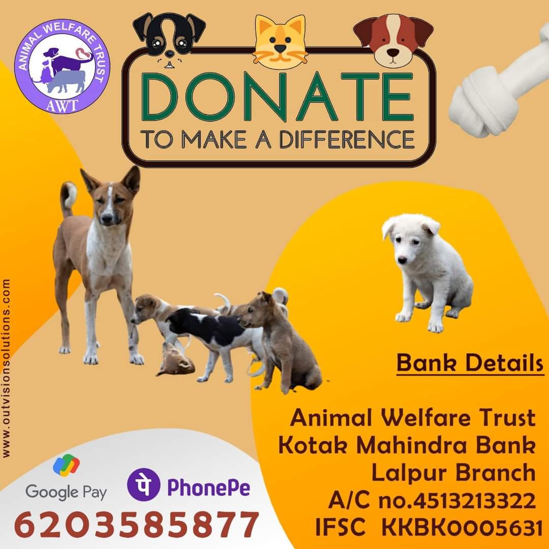 Animal Welfare Trust on Twitter: Animal Welfare Trust on Twitter: