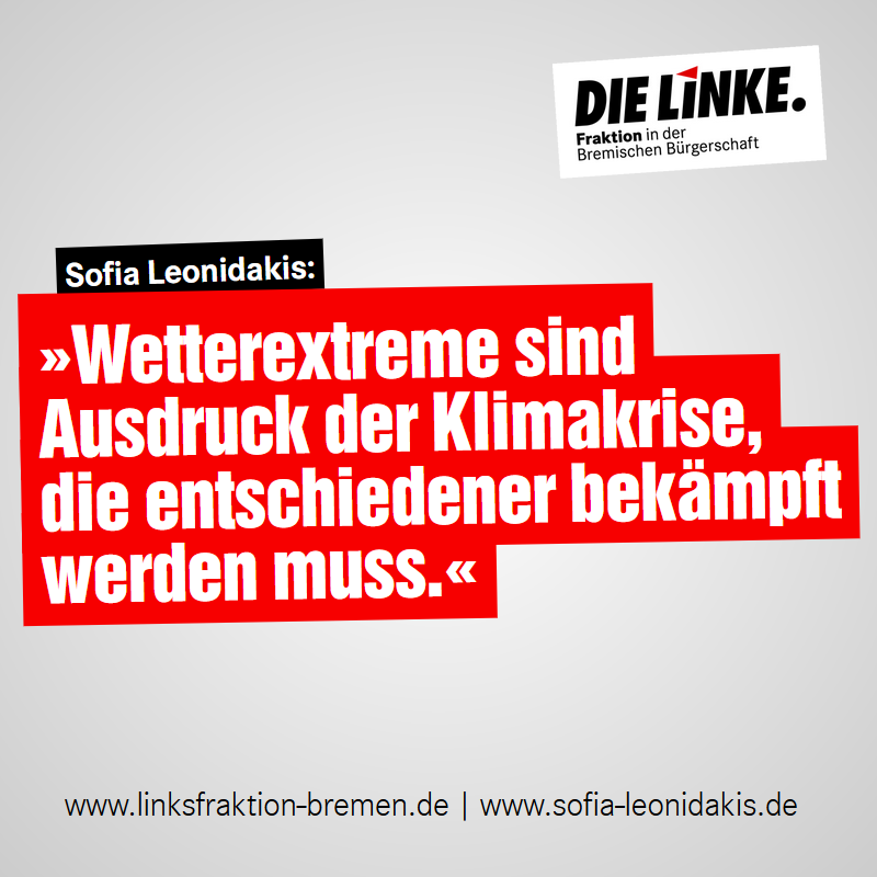 Sofia Leonidakis sagt: Wetterextreme sind Ausdruck der Klimakrise, die entschiedener bekämpft werden muss.