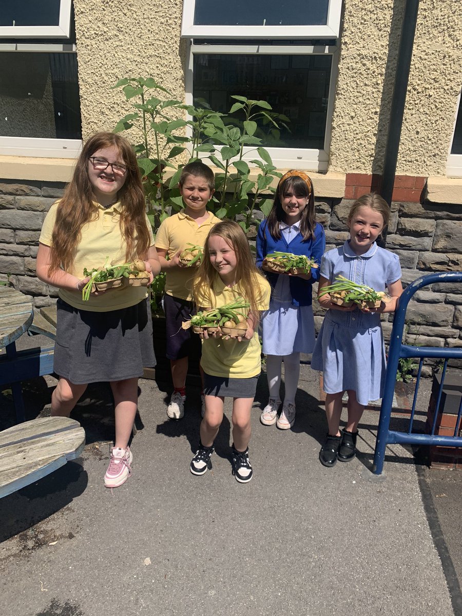 ParkMrsUsher's tweet image. Sold our school grown produce in one day! Thanks for your generous donations. Enjoy your freshly grown veg  🥔 🧅 🌿 @EcoSchoolsWales #seedtotable #homegrown #allotment @HS_Caerphilly