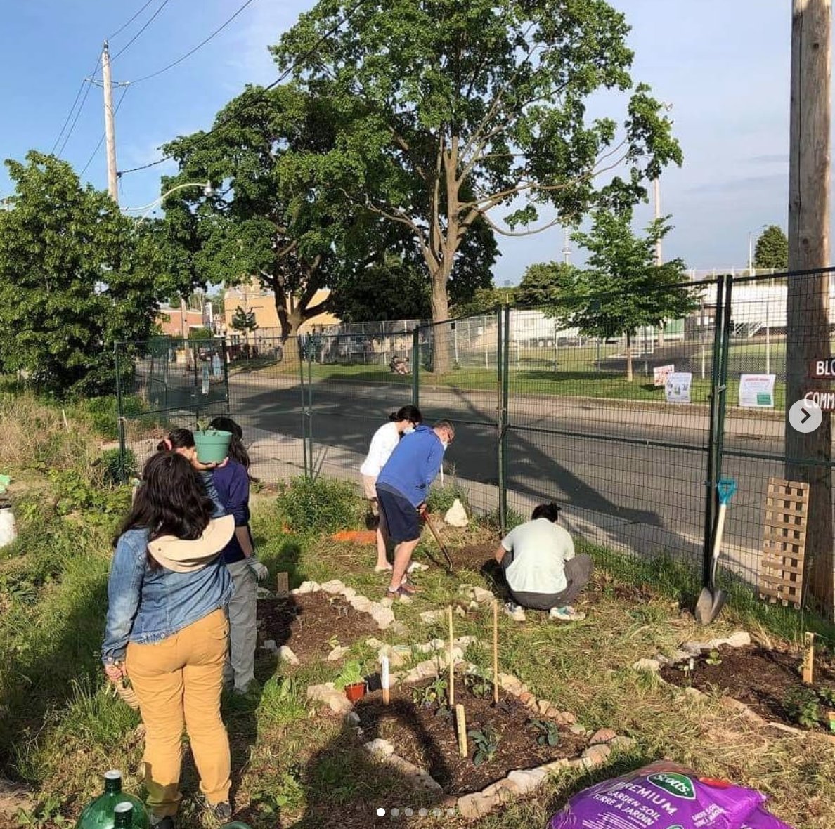 HELP! The Bloordale Beach Community Gardens (90 Croatia Street) are going to be torn out and fenced off by Monday! 🌱🆘 <a href="/PatForanCTVNews/">Pat Foran</a> <a href="/StephMDonaldson/">Stephanie Donaldson</a> @TDSB <a href="/CTVToronto/">CTV News Toronto</a> @sophia_ilyniak