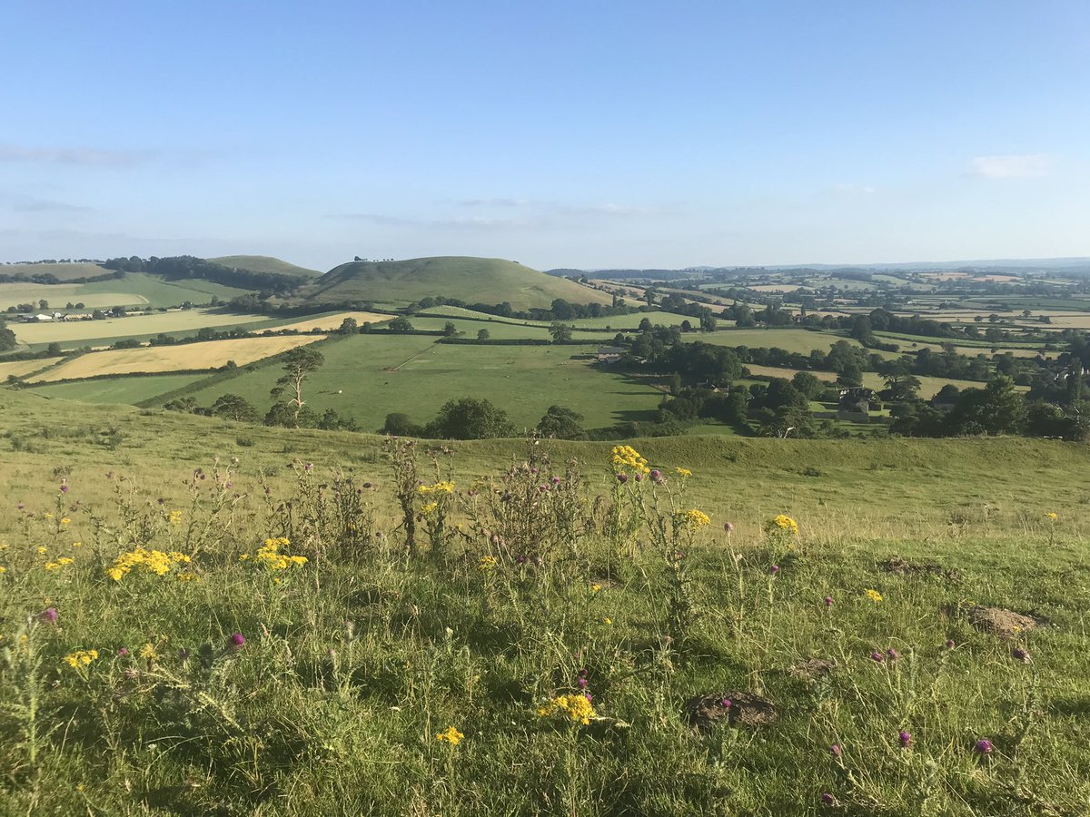 fosterarchitect's tweet image. Evening run after work - Corton Denham to Cadbury Castle (followed by @QueensArmsPub) #Dorset #somerset border