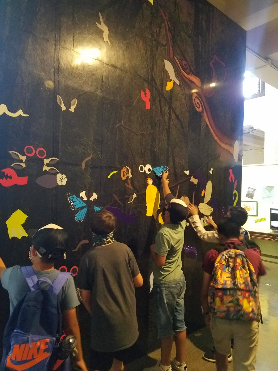 Jazmin Jara (@maestrajara) on Twitter photo Week 3 at #LoboCamp and we got to explore the <a href="/museumofus/">Museum of Us</a> ! What a great adventure! #CampCajon2021 <a href="/BosLangAcademy/">Bostonia Global</a> <a href="/langacadpta/">BostoniaGlobalPTA</a> Week 3 at #LoboCamp and we got to explore the <a href="/museumofus/">Museum of Us</a> ! What a great adventure! #CampCajon2021 <a href="/BosLangAcademy/">Bostonia Global</a> <a href="/langacadpta/">BostoniaGlobalPTA</a>
