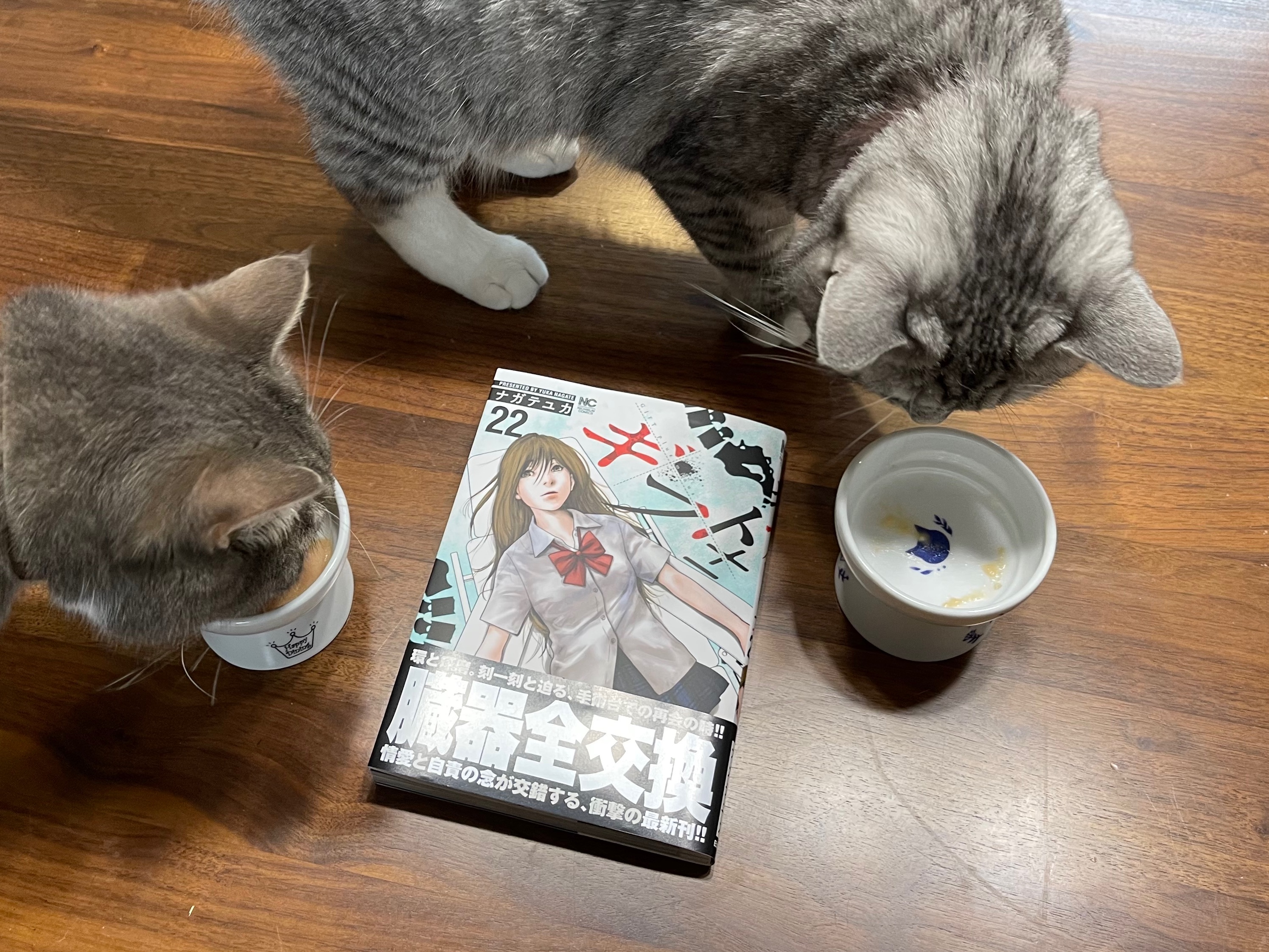 ナガテユカ ギフト 22巻発売中 Nagate Yuka Twitter
