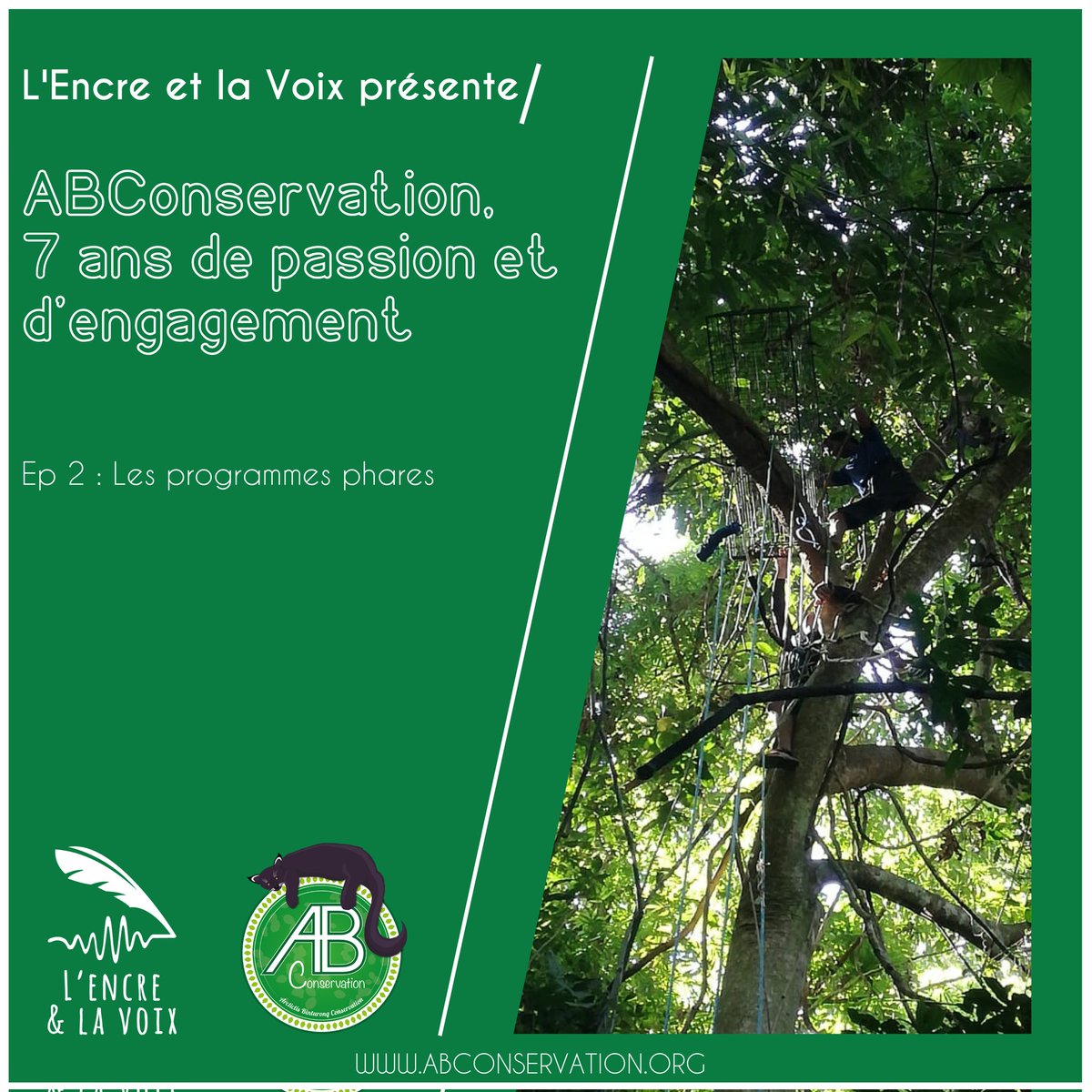 ABConservation - Arctictis Binturong Conservation tweet media