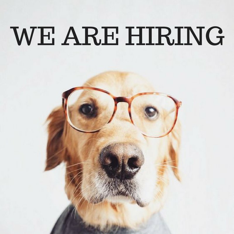 2ndStreetVet's tweet image. Interested in joining our team!? 🐾🩺💕
We’re hiring for client service representatives and veterinary assistants. Please send your resume to 2ndstreetvetnl@gmail.com