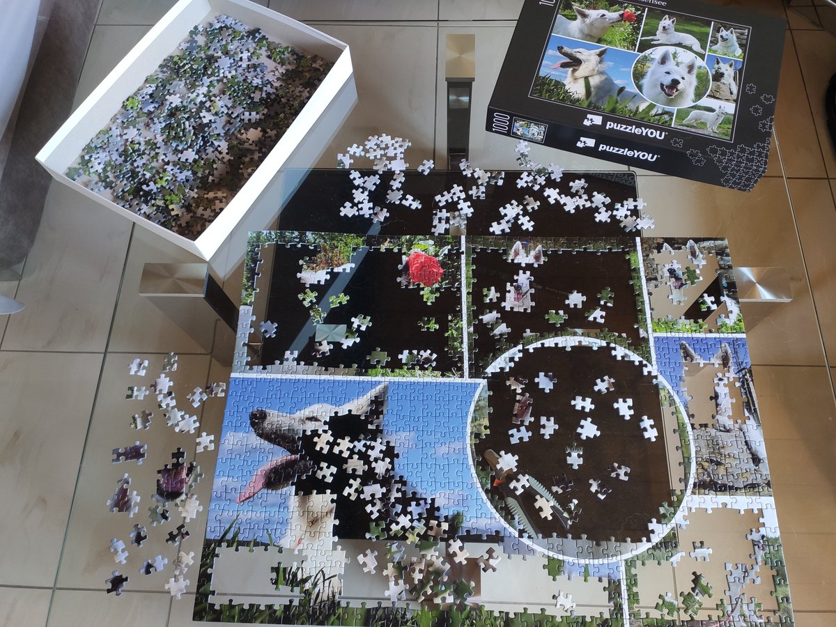 SukisDiary's tweet photo. Suki findet: Puzzeln ist anstrengend 🥱 https://t.co/OnaEix0LVP