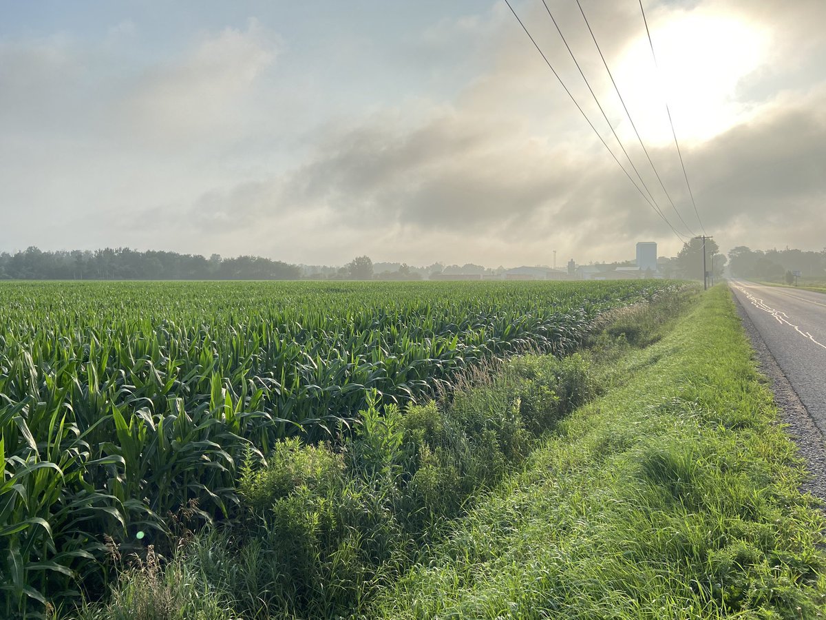 Brenda Irwin tweet media