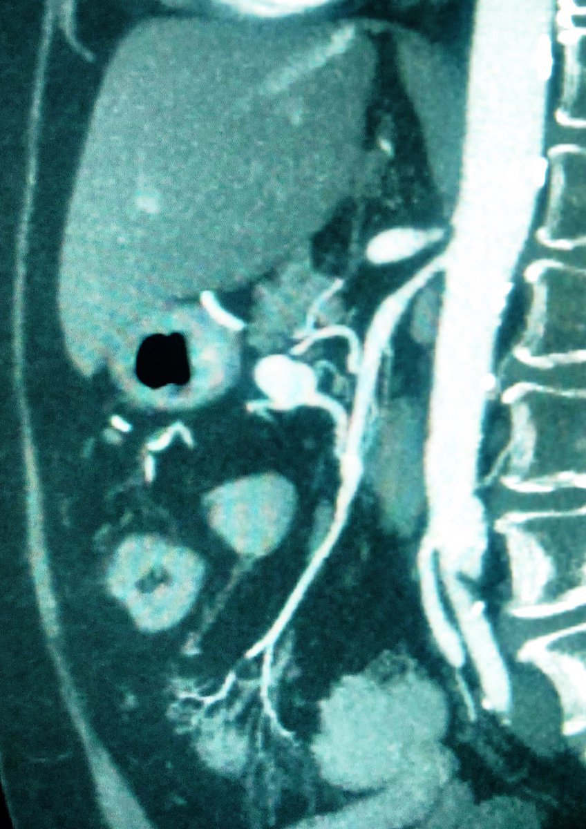 zachary masi tweet media