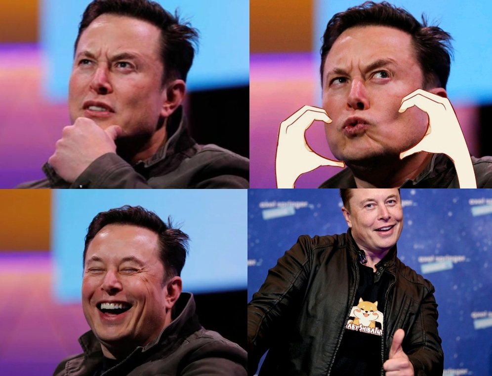 light_tyson's tweet photo. @elonmusk @Babyshibatoken @CGDaveMac @elonmusk lowkey cute with his chubby cheeks https://t.co/wEX37LKPhJ