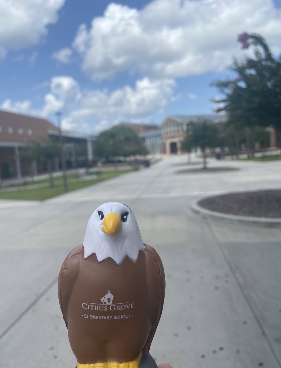 kmevans3's tweet image. Squeagle @CitrusGrove_VCS toured @UHSTitans411 @volusiaschools learning about Math B.E.S.T. standards with the help of @VCSElemMath #VCSLearns #muchappreciation