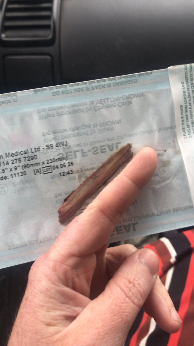 Today we understand why vets don’t recommend dogs chasing after sticks. Poor Klaus.