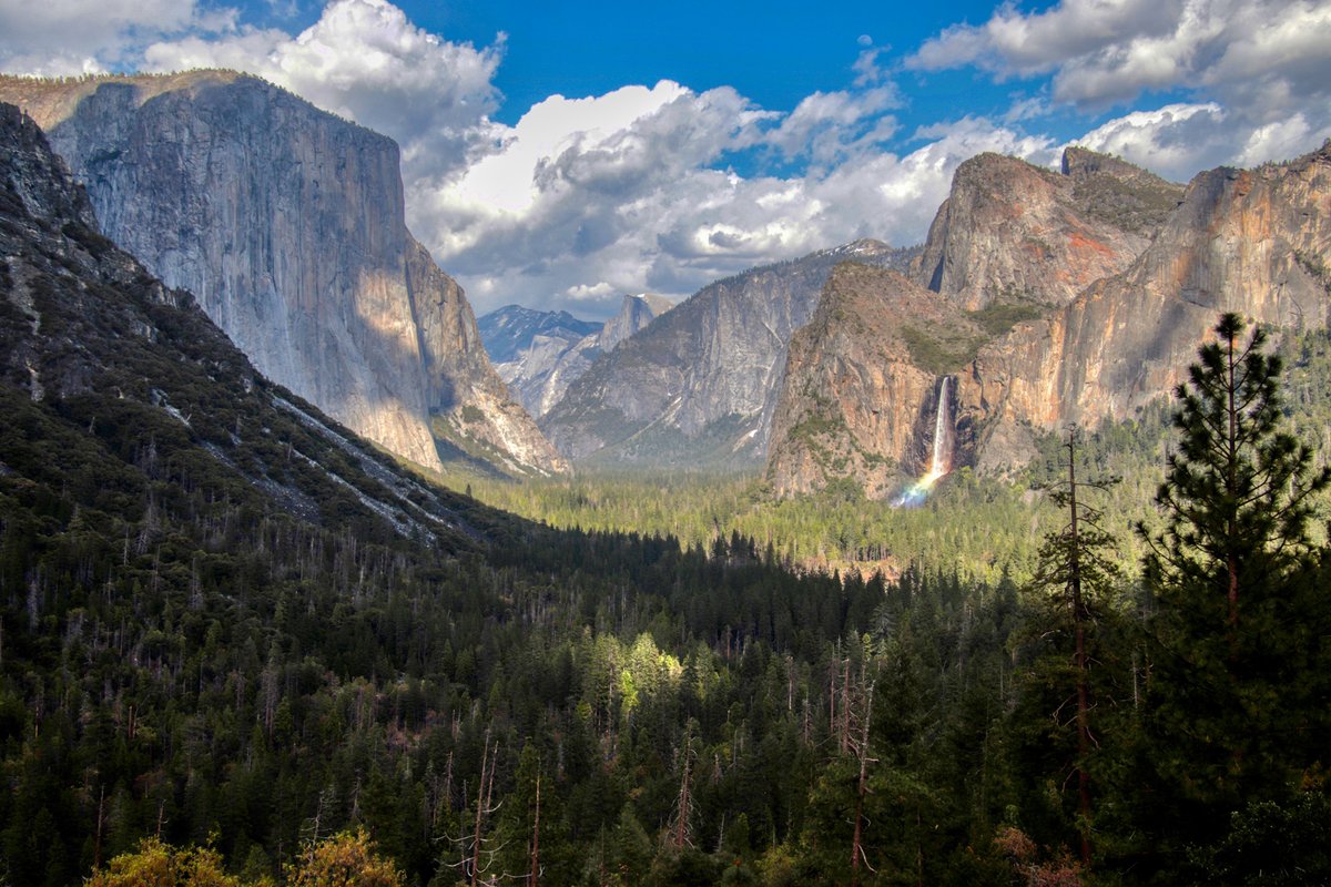 humor_guy's tweet photo. Yosemite in spring. Wow!
https://t.co/QYTmojbtI1 https://t.co/TkJjyeZQux