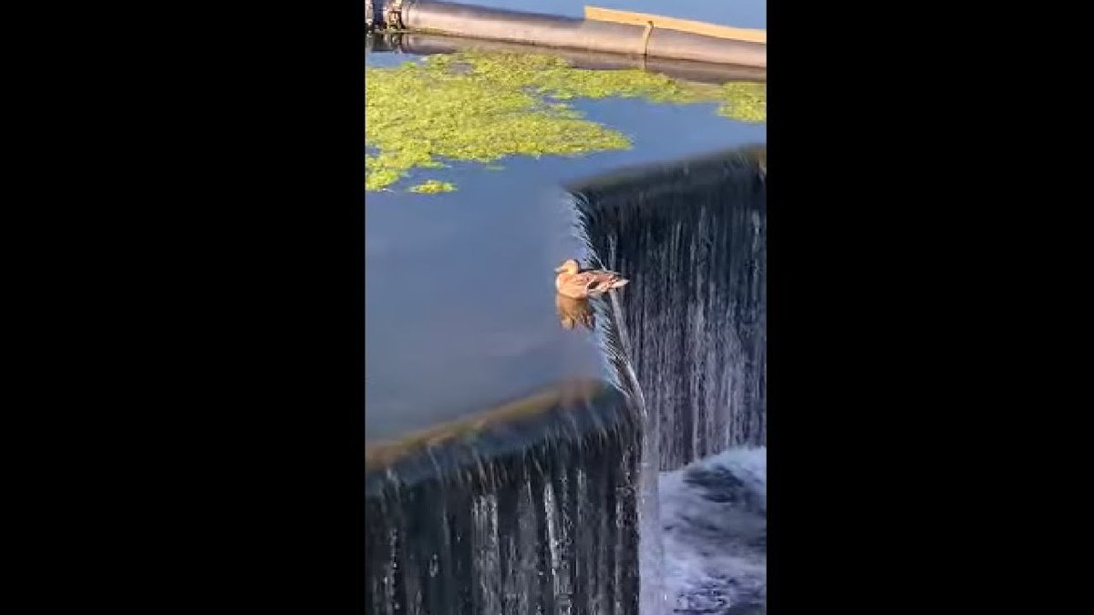 Benjamin Cowen tweet media