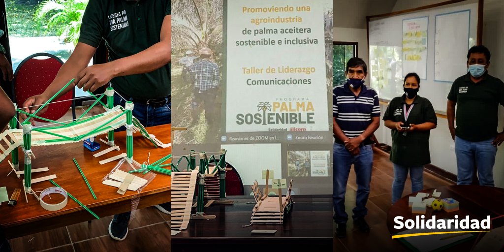 PERÚ 🇵🇪 | En este momento venimos desarrollando nuestro Taller "Líderes de la #Sostenibilidad" dirigido a técnicos de asociaciones y extractoras de #palma aceitera, bajo el marco del Programa Palma Sostenible, impulsado por Solidaridad, <a href="/Nesnaturaleza/">NES Naturaleza</a> y <a href="/AlicorpOficial/">Alicorp</a>.
