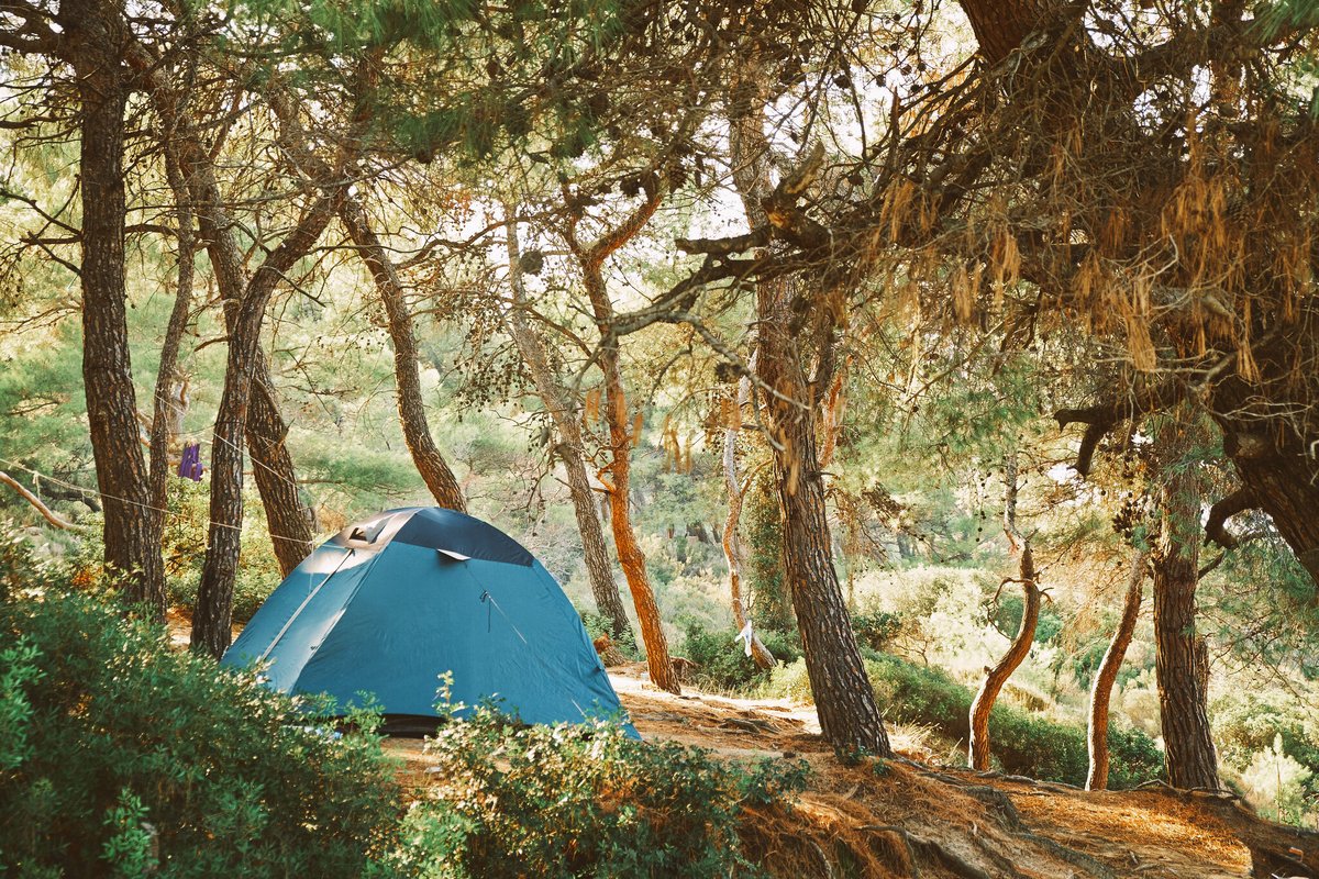VentureWipes's tweet photo. Morning campsite perfection brought to you by a sturdy little 12"x12" body wipe. ;-)
Is there anything better?
#dirthappens #campoften #outdoorlife #liveoutdoors https://t.co/pLVSgXiRVj