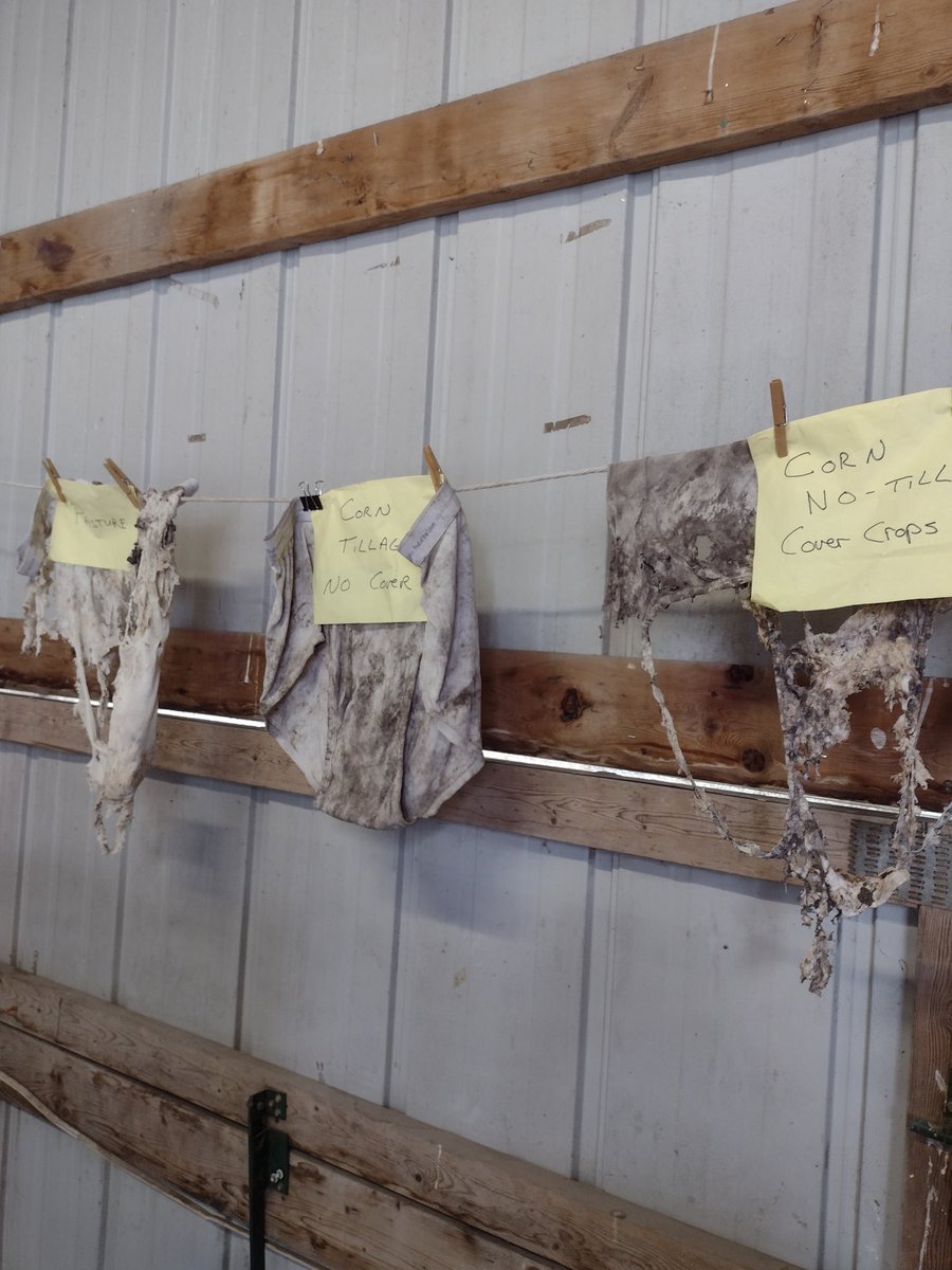 BenRoed's tweet photo. Stop by the Taylor Co. SWCD #fair booth to discuss conservation practices, #waterquality, play a quick game of #conservation Cornhole, and see some #soiled undies. #Ag #iowa #WQI https://t.co/MJ1rJNnoB6