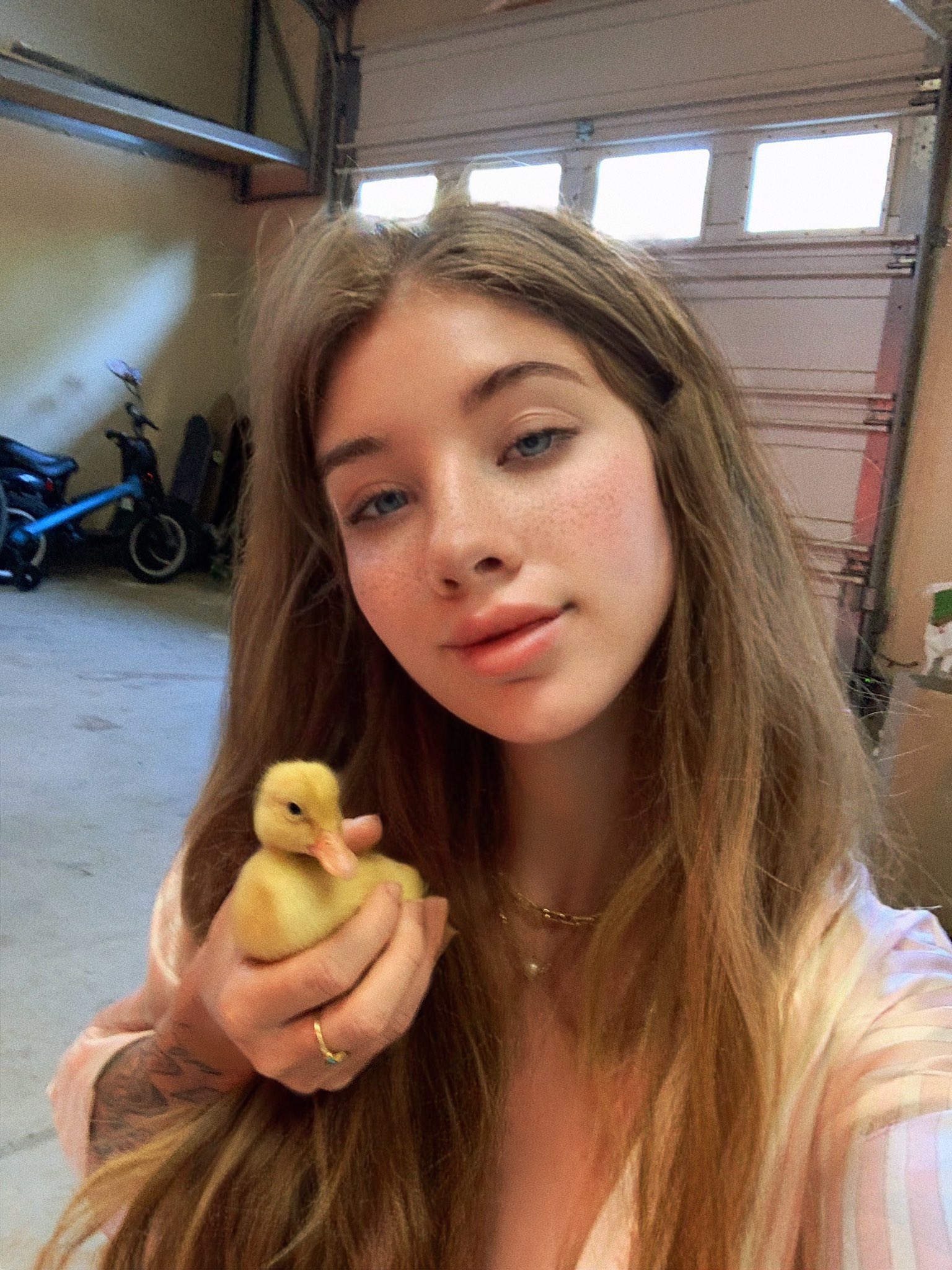 Coconut Kitty on Twitter: "Good morning from me and stewy https://t.co