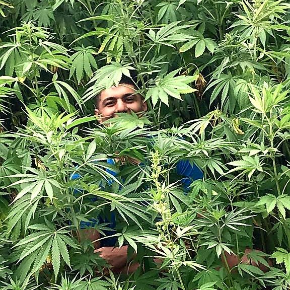 🌿🌿🌿
#NewProfilePic