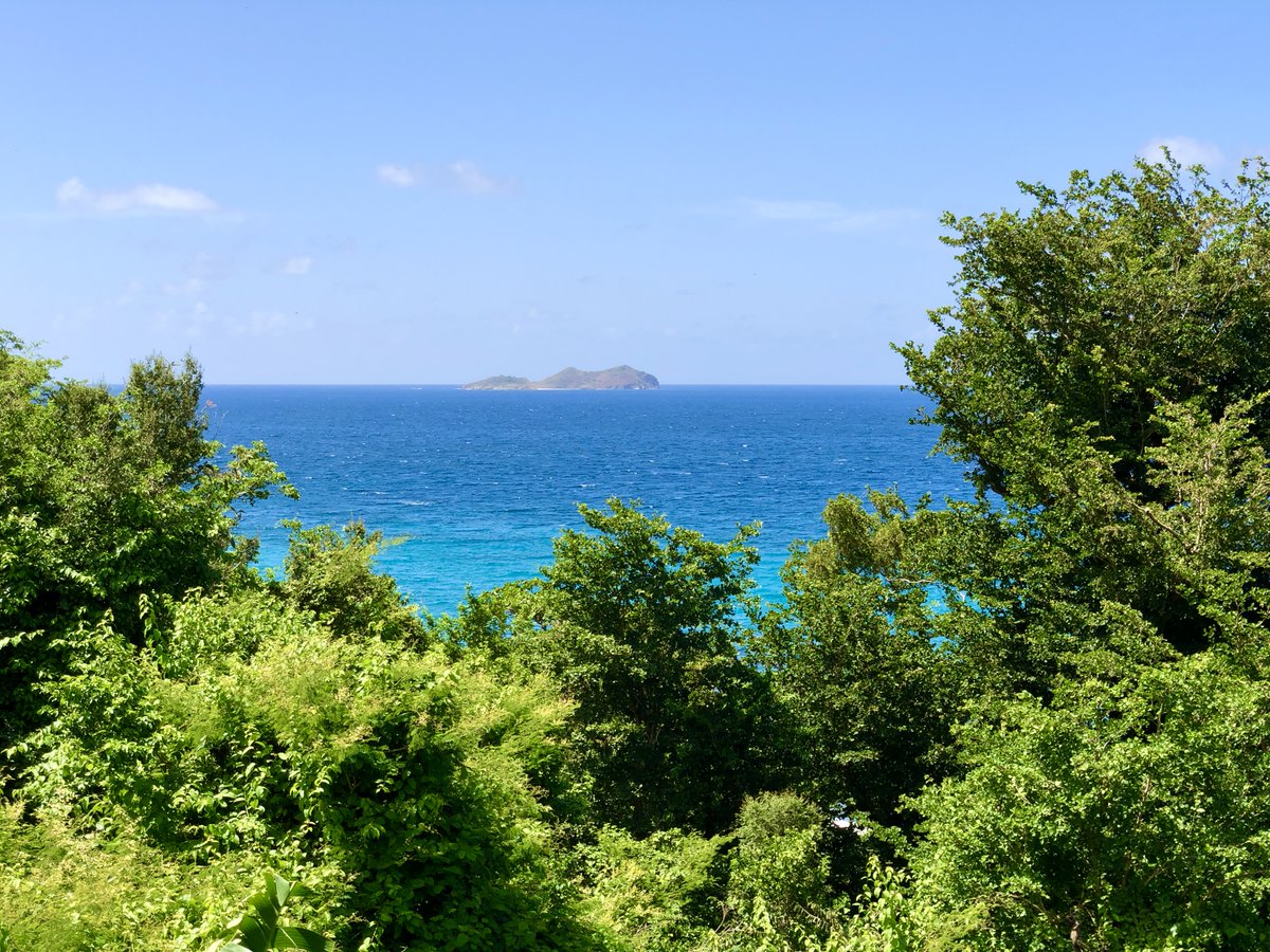 3/4 of the lab is in #StThomas! Ben F and Ashley R are working on their technical dive training, and will begin taking samples for their dissertation research on #coraldisease and #coral reproduction. They will also be spending two weeks diving for #NCRMP. Happy to be back!