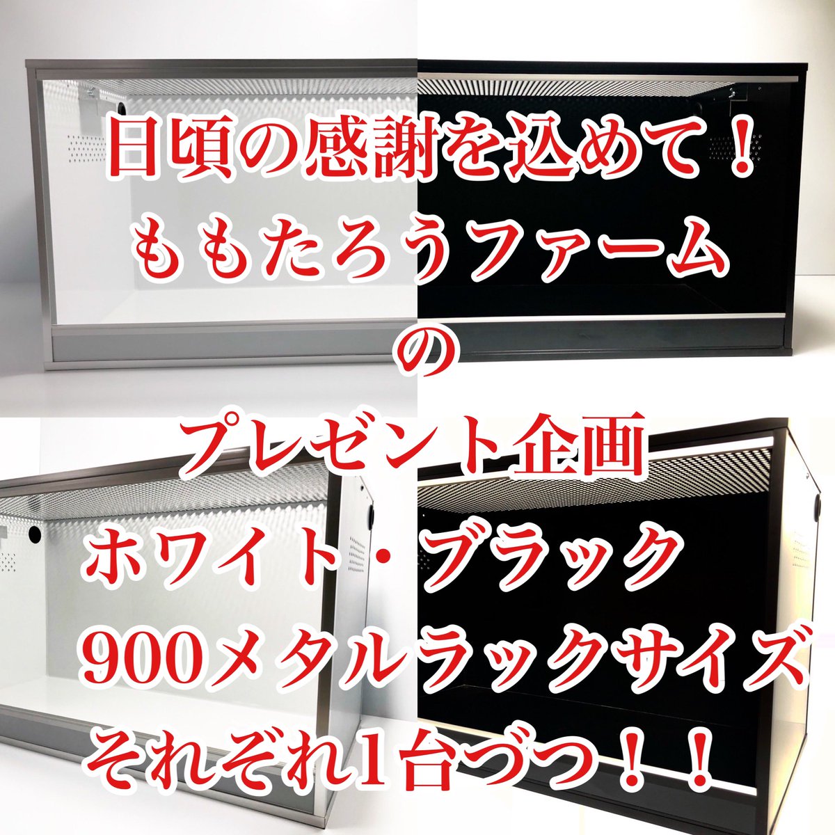 momotaroufarm's tweet photo. プレゼント企画の発表します✨
AIRケージそれぞれ1台づつ！
応募方法はフォロー＆ツイートをリツイート&amp;いいね！だけ😊
期間は7月20日23時59分までにします👍
欲しい色はリプに書いてくださいね👍
ボール・カーペット・フトアゴに最適サイズです😊
※Instagramからも募集します※ https://t.co/2i7edttgxV