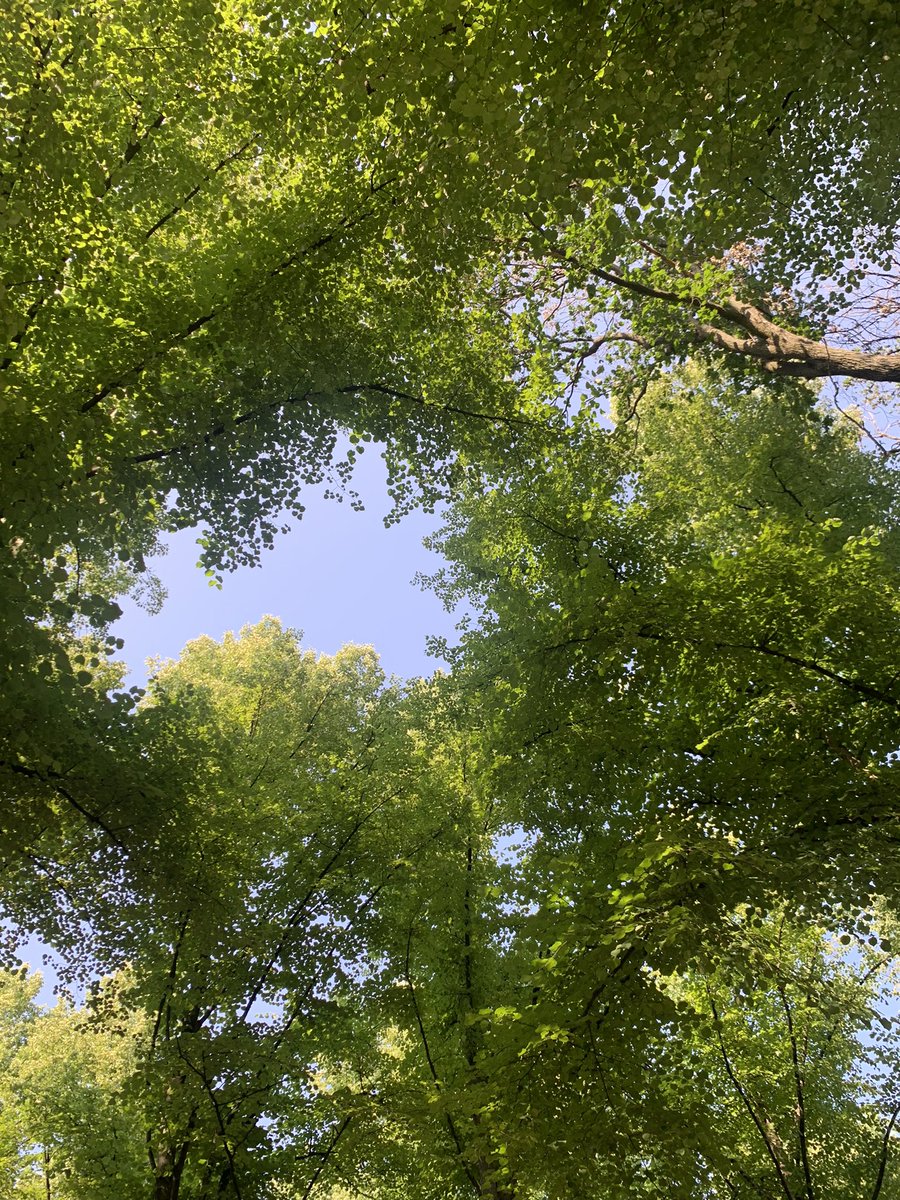 Sweden 🇸🇪 is a feeling … 🇸🇪 is a scent … 🇸🇪 is an attitude … from October 1st, come and take a walk with us in The Forest. Swedish Pavilion #Expo2020Sweden @expo2020dubai <a href="/expo2020se/">Sweden at Expo 2020 in Dubai</a>