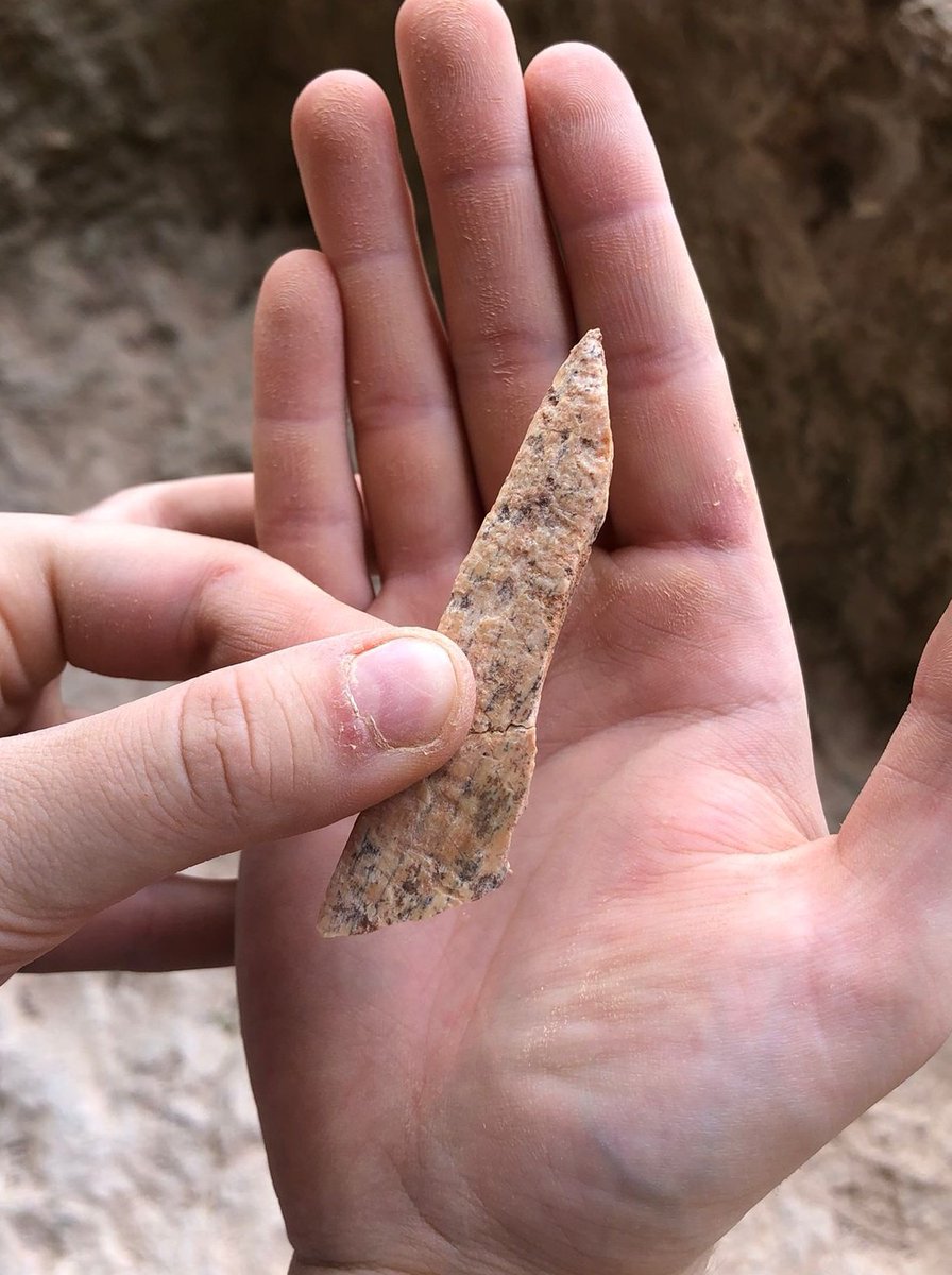 ⛏ NUEVO HALLAZGO ⛏
•
Hoy hemos hallado un fragmento de diáfisis de cérvido de tamaño medio 🦌

Esta fantástica pieza presenta marcas de consumo por parte de un carnívoro, evidentes por los surcos que se observan en la capa cortical del hueso 

¡¡Seguimos trabajando!! 🧡