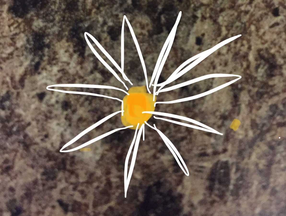 jen_solution tweet picture
