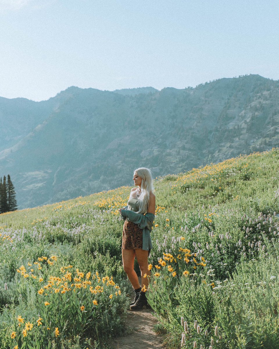 salt lake city summers ✨