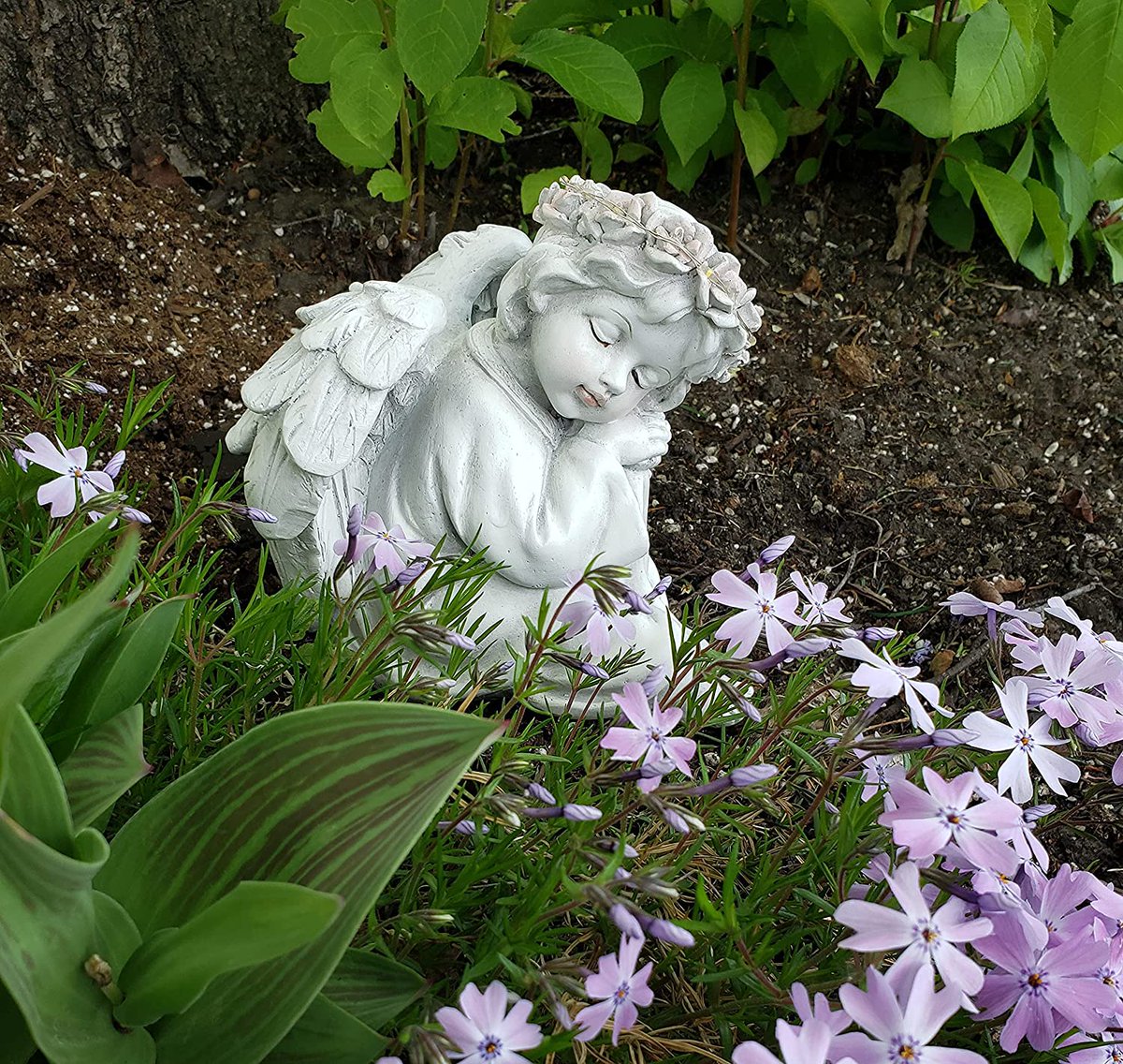 CompostAnd's tweet image. ENVIROMENTALLY POWERED by the sun, the ANGEL FIGURINE produces a pleasant Angel halo glow in low light and evening, shining their eternal light of protection. The Ni-Cd battery is RECHARGABLE by sun light .
.
ShopNow:amazon.ca/Light.../dp/B0…?
.
#gardening #canada #helpful