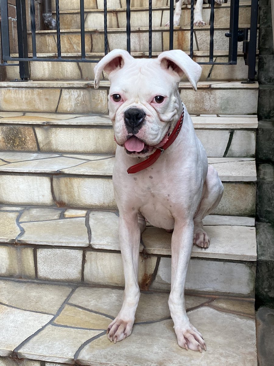 この子たちもちゃんといるよ(,,ᴗ ᴗ,,)