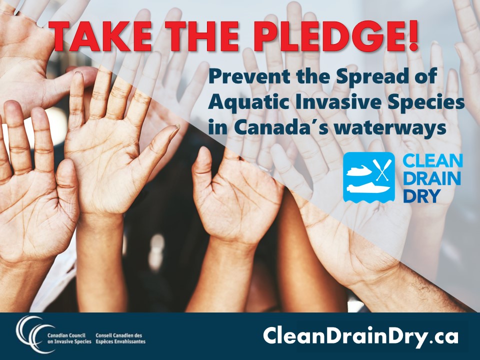 Take the pledge today! 
Commit to:
🧼CLEAN plants, animals &amp; mud from your boat and gear
🚿DRAIN all water from your boat and gear onto land
💨DRY all parts of your boat and gear completely
PLEDGE HERE ➡️CleanDrainDry.ca
#CleanDrainDry