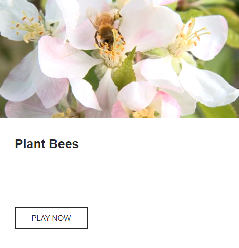 IMDEANutricion's tweet photo. When we think of bees 🐝, the first thing that comes to our mind is honey 🍯, but do you know the role they play in the entire #foodsystem? 

Developed by @Cambridge_Uni under #AnnualFoodAgenda @EITFood project to spread the word about #FutureConsumers 

▶️https://t.co/HTTzqMwRpn https://t.co/OVKz64qUKy