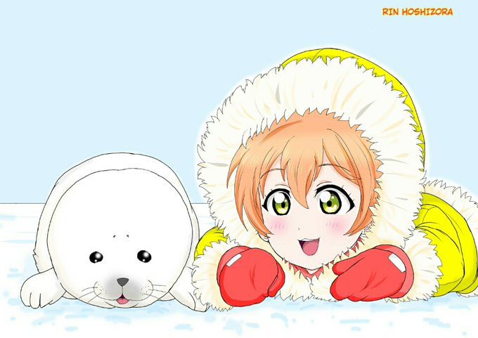 アザラシの赤ちゃんのtwitterイラスト検索結果