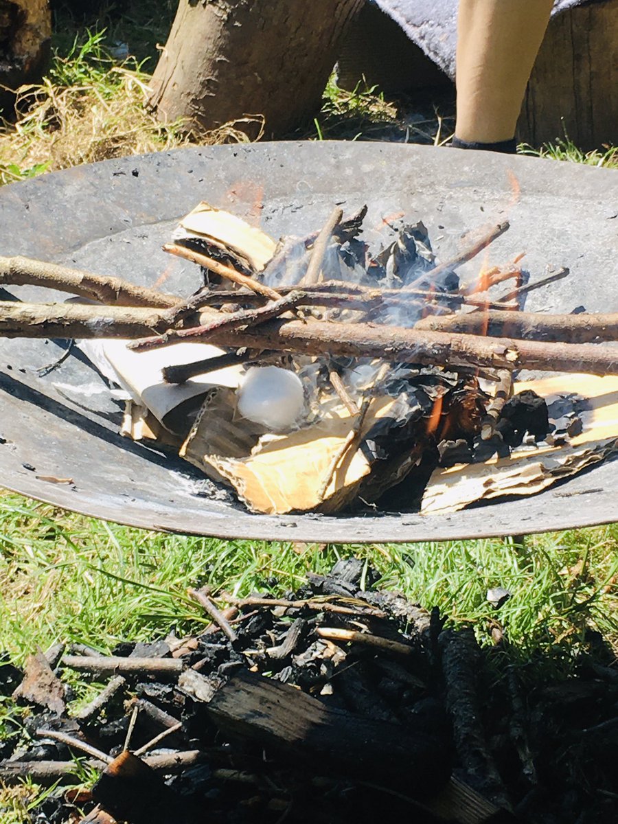 MSPSMsHussein's tweet photo. Forest schol, the pupils enjoyed learning all about outdoor camping.@MSPSCardiff #camping #outdoorlearning #nature https://t.co/kVV2MF15ki