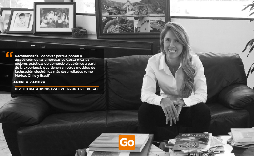 Gosocket tweet media