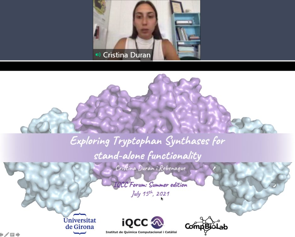 Third speaker at #SummerEdition of the #IQCCForum is @CrisDuran25 on Exploring Tryptophan Synthases for stand-alone functionality @IQCCUdG @CompBioLab_IQCC @UdGRecerca