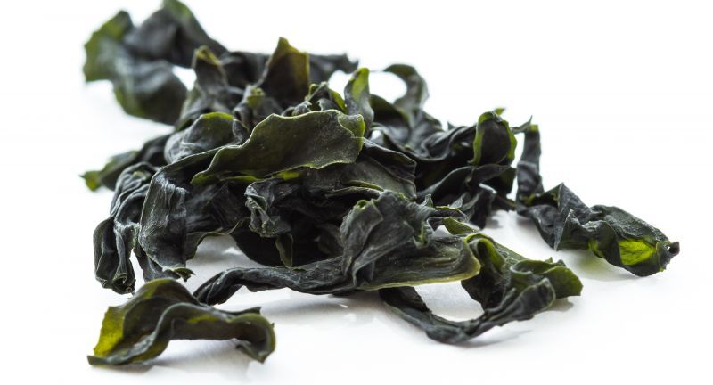 Seasteading's tweet photo. Seaweed: The answer to the plastic crisis? - #RecyclableFoodPackaging #Sustainabilty #PackagingRecycling #Composting #Evoware #Notpla https://t.co/SV9KiWNrJ3 https://t.co/LU1RAd1nnF