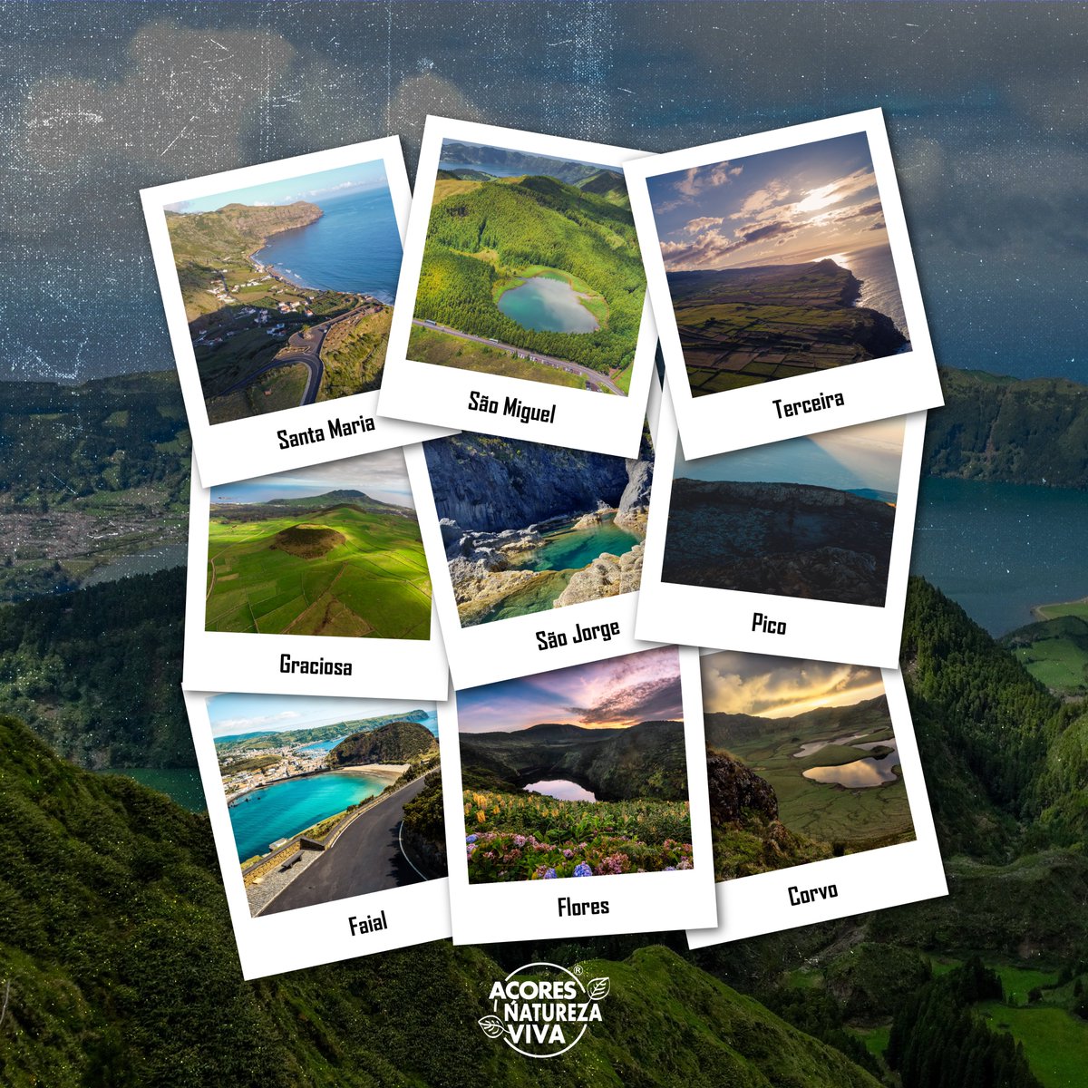 Açores Natureza Viva tweet media